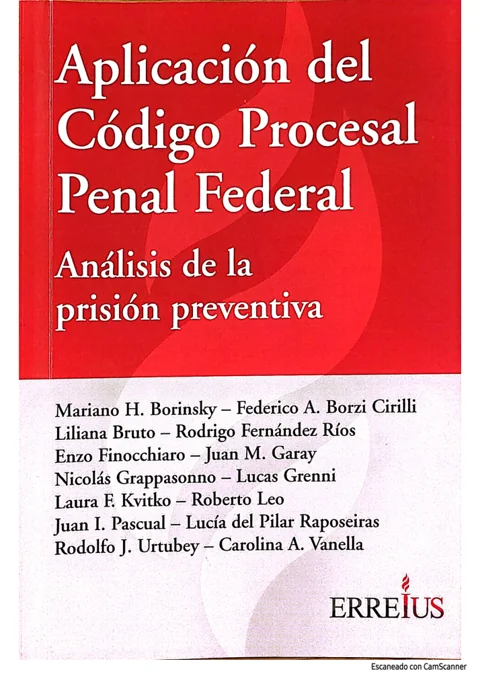 Vista de la publicación Libertad del imputado durante el proceso